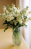 White Delight Bouquet b1627