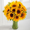 15 Sunflowers with Vase