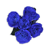 5 Blue Roses