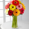 12 Daisies- Vase Included