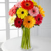 12 Mini Daisies- Vase Included