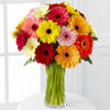 24 Daisies- Vase Included