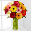 24 Mini Daisies- Vase Included