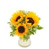 3 Sunflowers with Vase