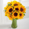12 Sunflowers with Vase