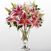 10 Stems