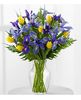 7 Tulips, 12 Iris