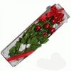 12 Stems Rose Chocolate