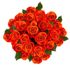 24 Orange Roses