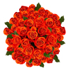 48 Orange Roses