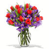 20 Red Tulips, 20 Iris, Clear Vase