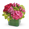 With 9 Roses.
