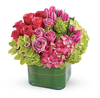 With 10 Roses.