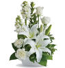 Simply White Design b3964