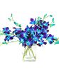 10 Stems