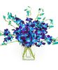 15 Stems