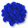 24 Blue Roses