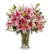 8 Stems