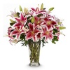 10 Stems