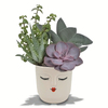 In Lady Planter