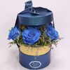 5 Blue Roses